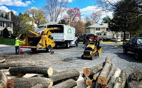 Lawn Renovation and Restoration in South Coatesville, PA